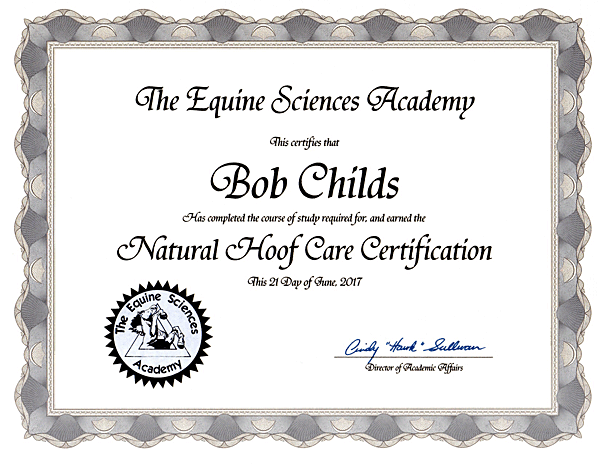 ESA Certificate ESA Certificate